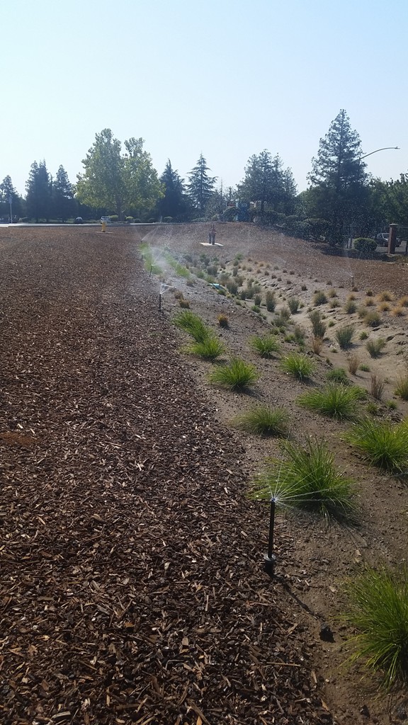 Biofiltration Bioretention TC32 Irrigated and Vegetated Swales and