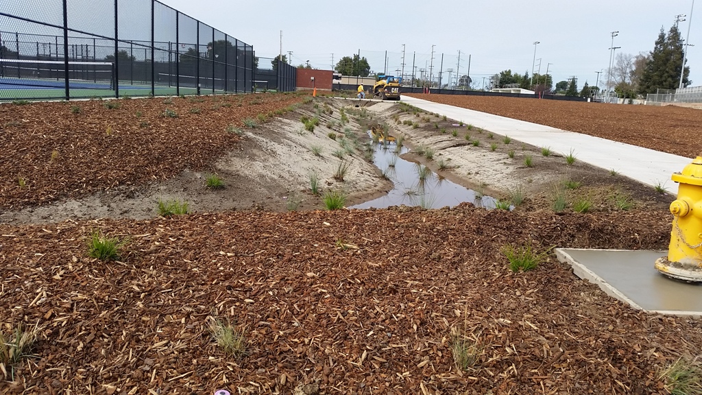 Biofiltration Bioretention TC32 Irrigated and Vegetated Swales and