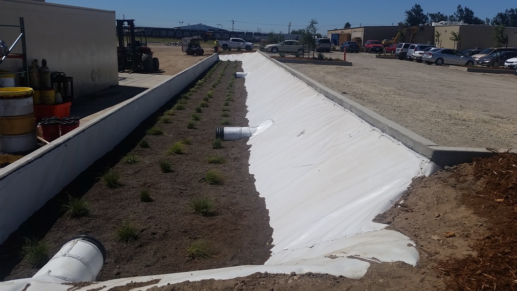 Biofiltration Bioretention TC32 Irrigated and Vegetated Swales and